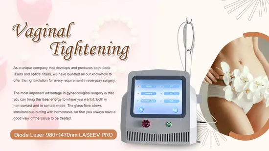 Triangel Laseev Yaser Laser Gynecology Minimally Invasive Gynecology Vaginal Tightening Gynecologic Laser 980nm Diode Laser for Gynecological Diseas 